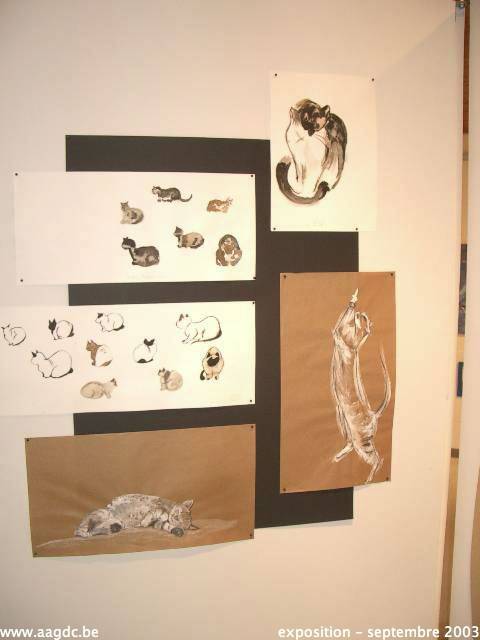 imgp0620.jpg