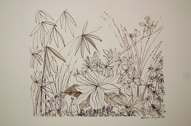 2005-06.jpg